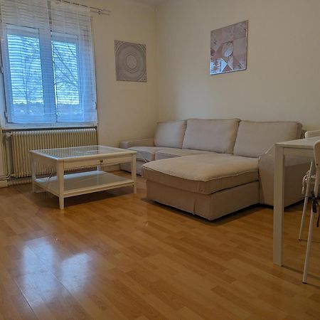 Le Balois - Appartement 2 Chambres, Salon, Cuisine Equipee, Parking Et Wifi Gratuit Mulhouse Eksteriør billede