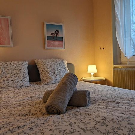 Le Balois - Appartement 2 Chambres, Salon, Cuisine Equipee, Parking Et Wifi Gratuit Mulhouse Eksteriør billede