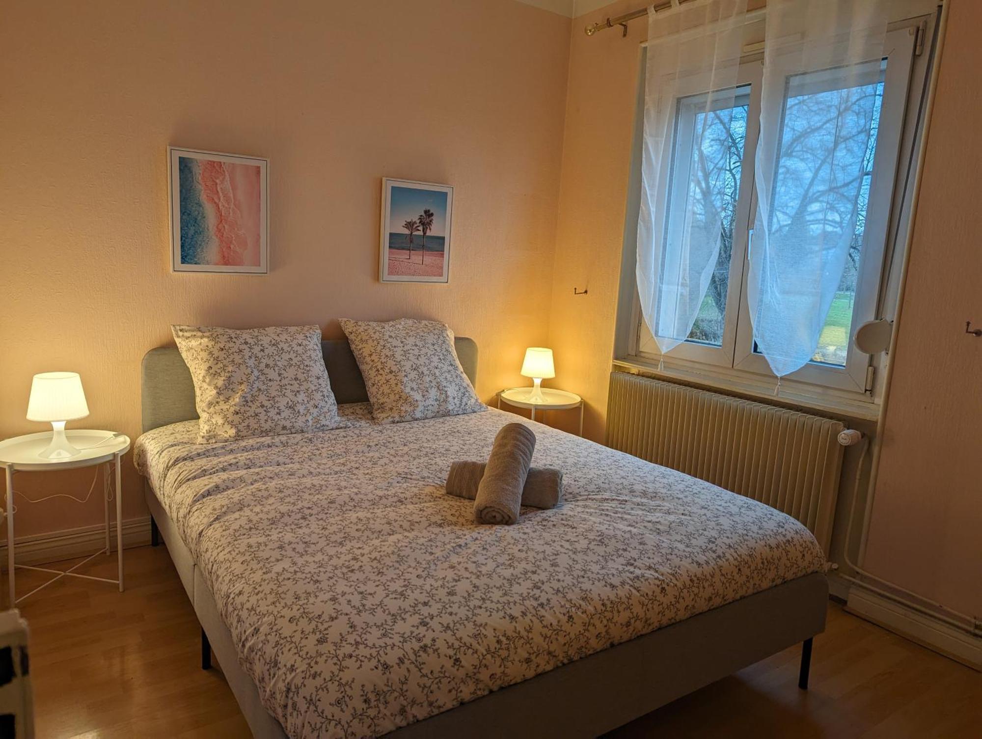 Le Balois - Appartement 2 Chambres, Salon, Cuisine Equipee, Parking Et Wifi Gratuit Mulhouse Eksteriør billede