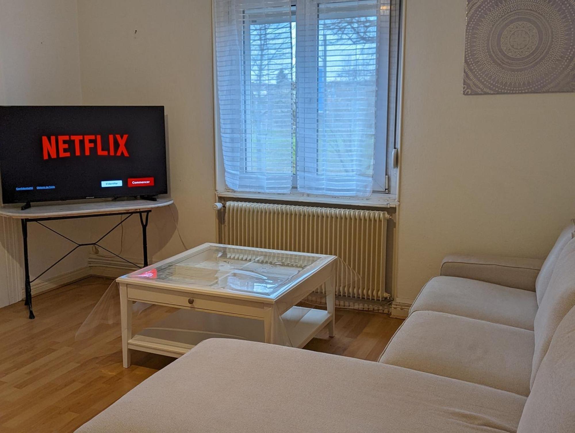 Le Balois - Appartement 2 Chambres, Salon, Cuisine Equipee, Parking Et Wifi Gratuit Mulhouse Eksteriør billede